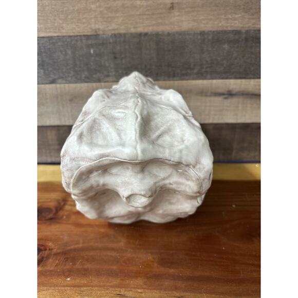 T Rex Skull Candy Bowl Seasons USA Halloween Prop Decor Dinosaur 12” Long - Picture 5 of 8